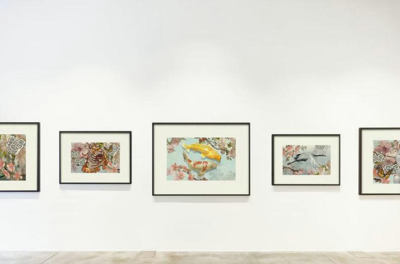 Exposition consacrée aux animaux